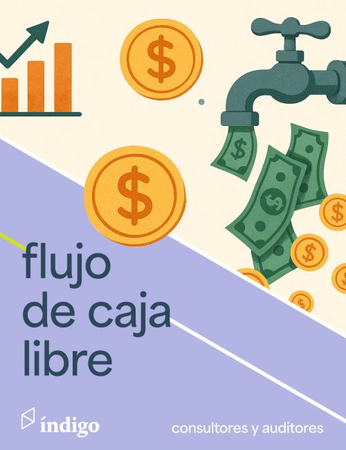 Flujo de caja libre Flujo de caja libre