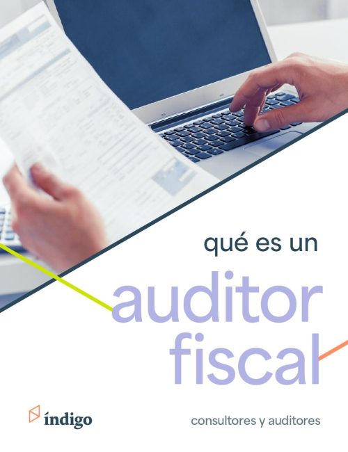 auditor fiscal auditor fiscal